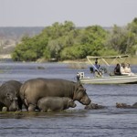 Botswana Safaris