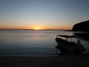 sunset-ponga