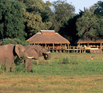 Mombo camp on Southern Africa Safari