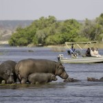 Botswana Safari with Boundless Journeys