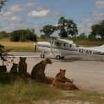 Botswana Mail Delivery