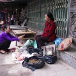 Vietnam Local Pharmacist