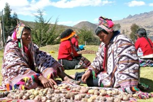 Peruvian Locals