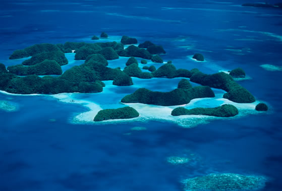 The rock islands of Palau, in the South Pacific.