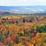 Vermont fall foliage