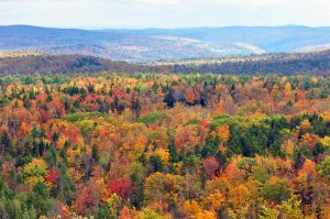 Vermont fall foliage