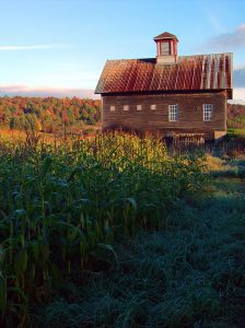 fall-barn (2)