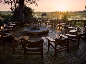 Elephants Okavango Delta