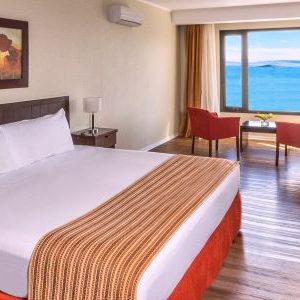 Hotel Xelena