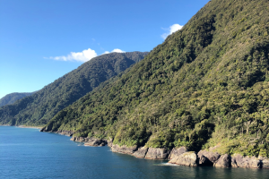 Panoramic view of a lush New Zealand landscape with distant hills and low clouds