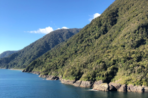 landscape new zealand