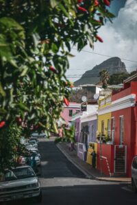 Bo-Kaap neighborhood of Cape Town, with leafy green tree and colorful buildings