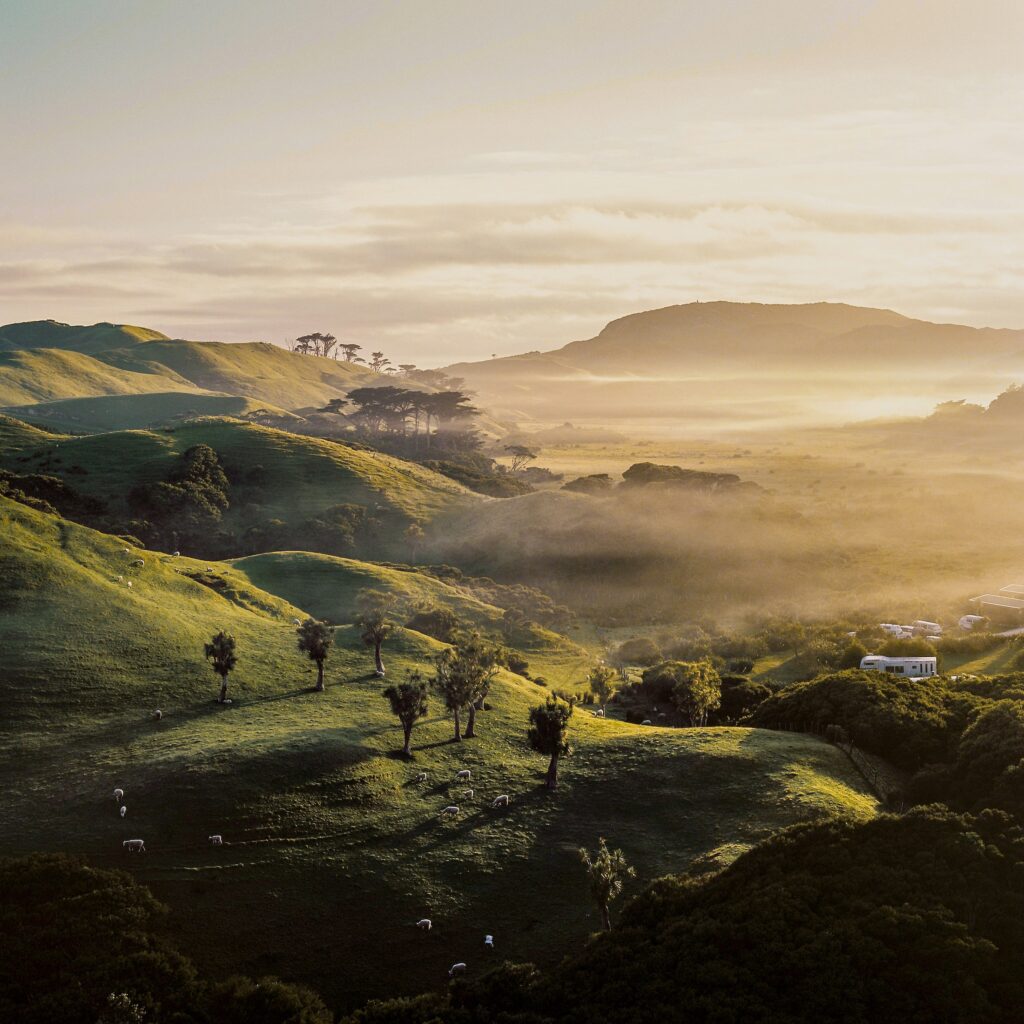 Aerial view of misty New Zealand landscape