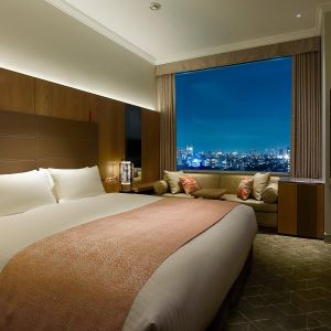 Hotel The Celestine Tokyo Shiba