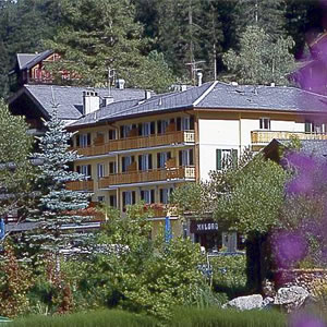 Hotel du Glacier
