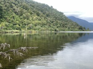 New Zealand fly fishing photo