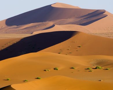 namibia desert safari