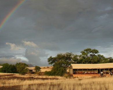 namibia desert safari