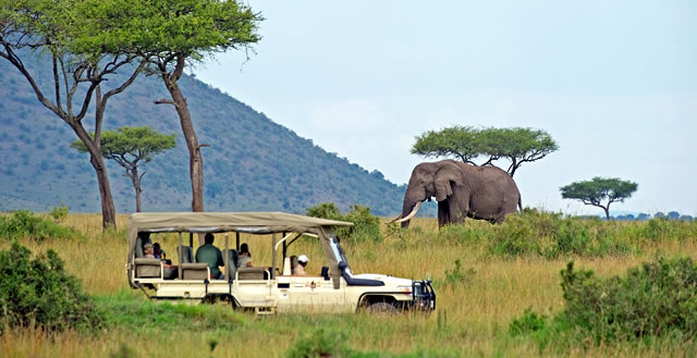 Botswana vs. Tanzania: Choose Your Dream African Safari | Boundless