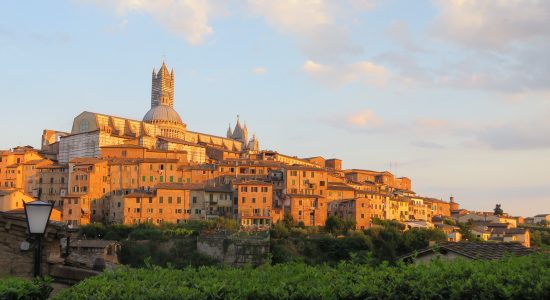 Tours in Tuscany Italy