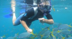 Rock Islands Southern Lagoon, one of the best snorkeling destinations in the world